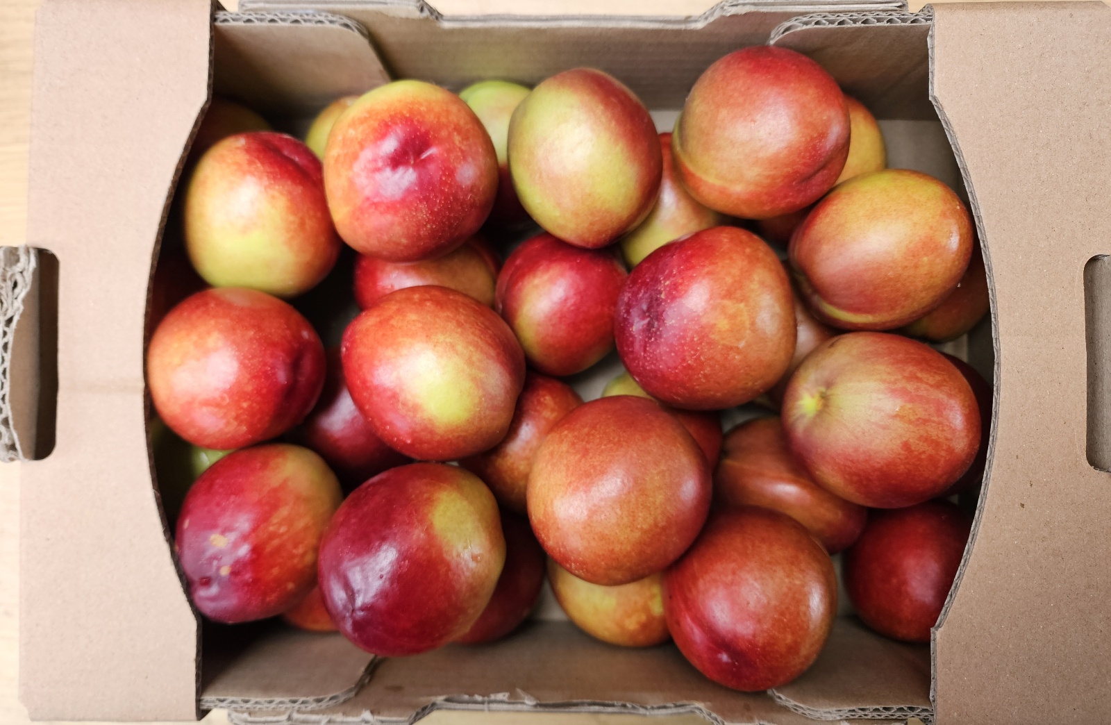 [해다믄농원] 대석자두